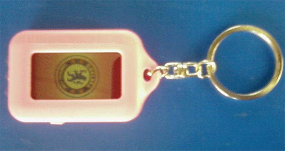 LCD Solar Schlüsselanhänger mit 3 LED und ein blinkende Bild LCD Solar Schlüsselanhänger mit 3 LED und ein blinkende Bild